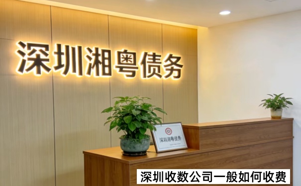 深圳收数公司一般如何收费